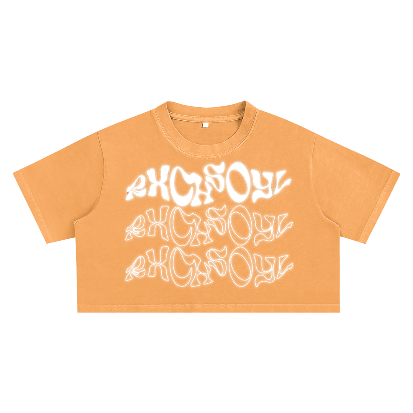Snow Washed Crop Top